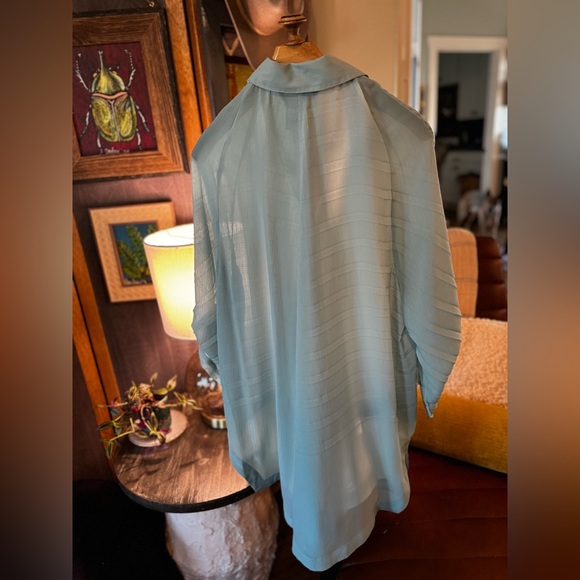 John Mark Blue sheer Long Sleeve Button Down Size L - Picture 5 of 7